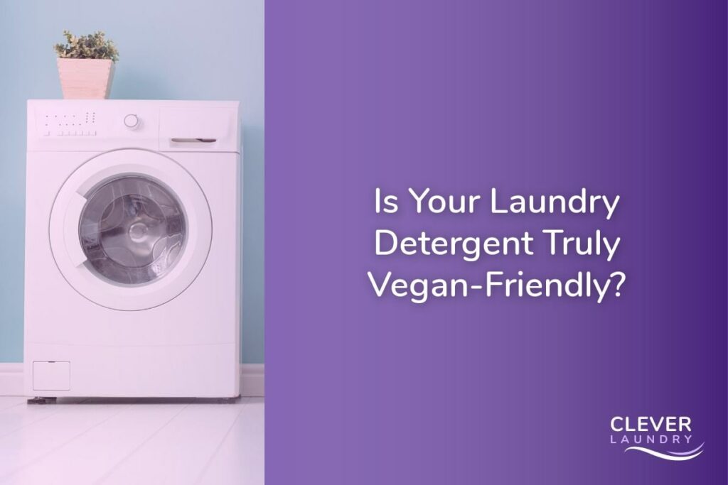 Is Your Laundry Detergent Truly Vegan Friendly